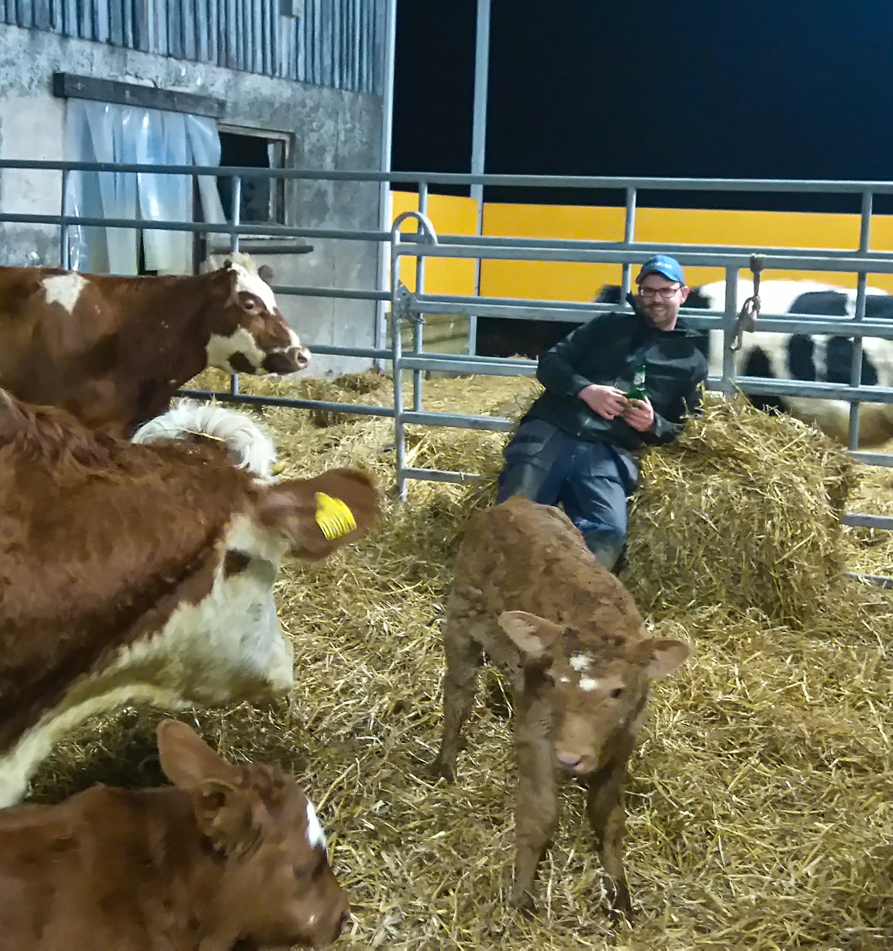 Korg med produkter från gården